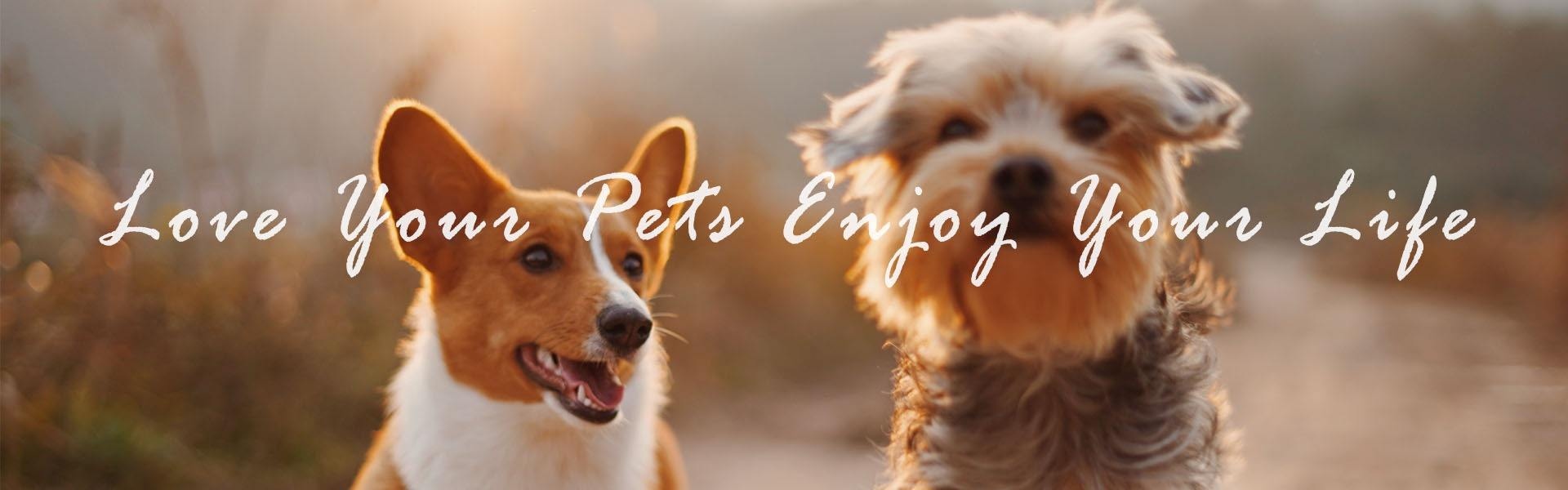 ペット製品、ペットアクセサリー、ペット用品,Furjoyz Pet Products Co., Ltd