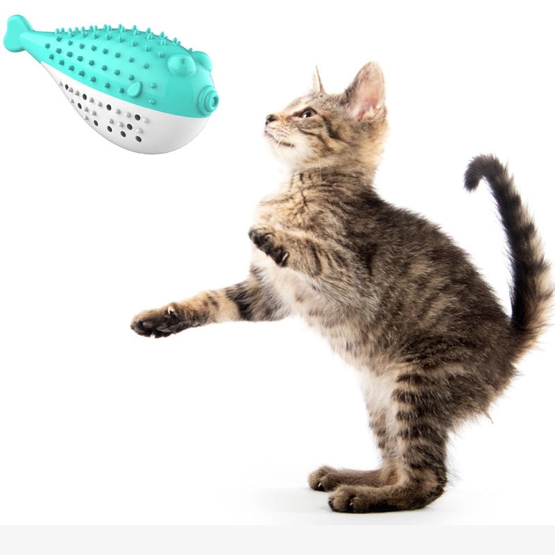 Furjoyz卸売ファニーペットのおもちゃ歯ブラシインタラクティブ玩具ポータブル猫インテリジェントきれいな歯ゴムキャットニップ猫のおもちゃ