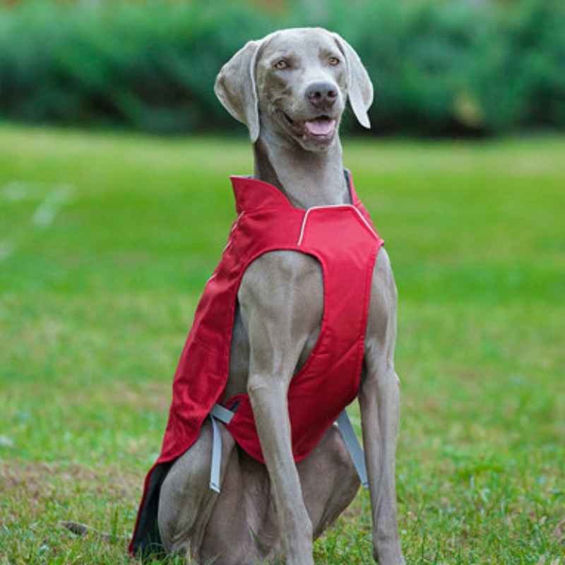 古典的なスタイルの反射犬のコート防水調節可能な冬の犬のジャケットの可逆的な軽量