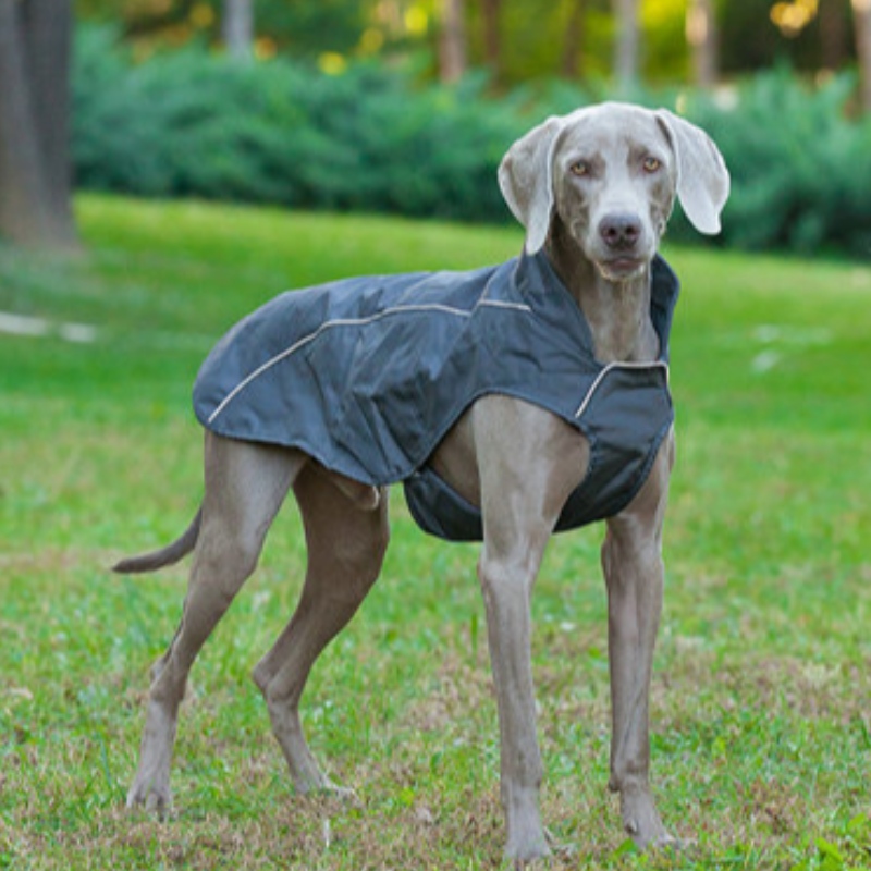 OEM/odmかわいい小さな犬パーカーコートペット布スウェット子犬猫プルオーバー犬の布卸売犬の冬のコート