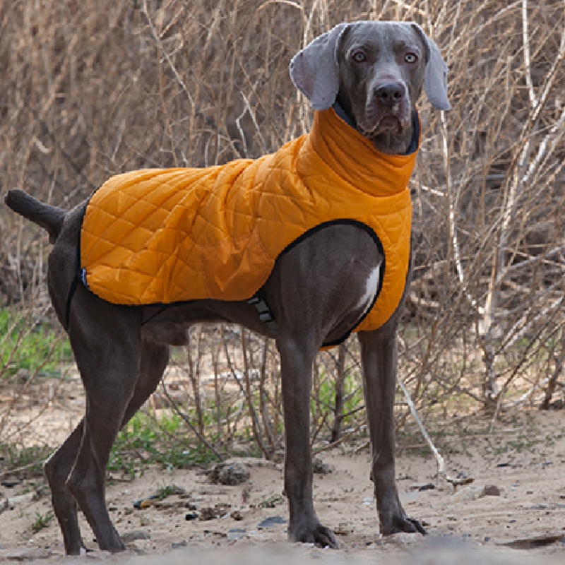 アマゾン熱い販売の新しいペット服犬の服秋と冬の厚い伸縮性のあるセーターペットのセーター